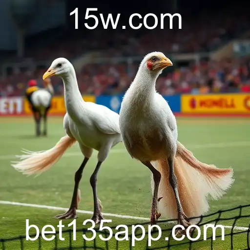 bet135 - Sabong Online: A Evolução da Tradição de Apostas com bet135